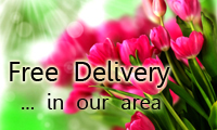 Same day delivery - order by 12 noon